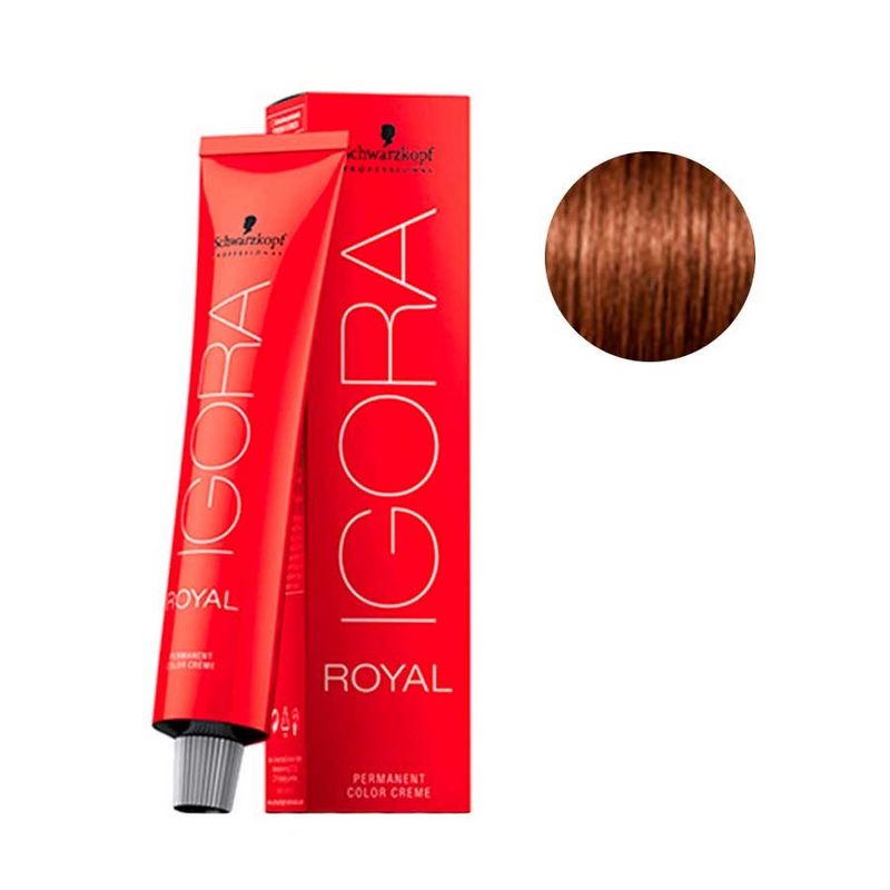 Coloracao-Igora-Schwarzkopf-Royal-Castanho-Claro-Dourado-Cobre---5-57
