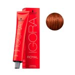 Coloracao-Igora-Schwarzkopf-Royal-Castanho-Claro-Cobre---5.7
