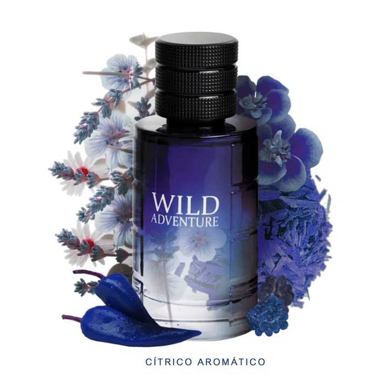 Wild-Adventure-Linn-Young-Eau-De-Toilette-Perfume-Masculino-100ml