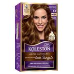 Coloracao-53-Entardecer-Castanho-Ouro-Koleston-Noites-Iluminadas-Por-Ivete-Sangalo