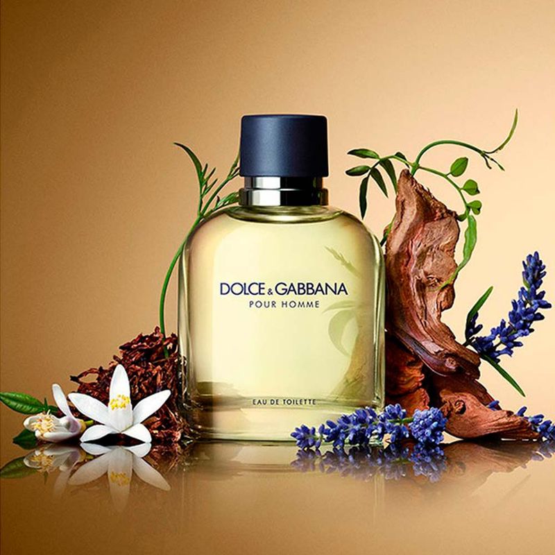 Pour Homme Dolce & Gabbana Eau De Toilette Masculino 75ml - Danny Cosmeticos