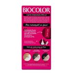 Mini-Kit-Coloracao-12.11-Lourissimo-Platinado-Capa-De-Revista-Biocolor