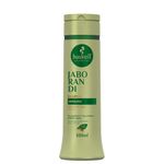 Shampoo-Antiqueda-Jaborandi-Haskell-300ml