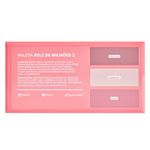 Paleta-Contorno---Iluminador---Blush-Pele-De-Milhoes-2-Dailus-9g