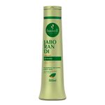 Shampoo-Antiqueda-Jaborandi-Haskell-500ml