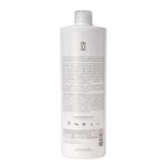Condicionador-Antifrizz-Divine-Brae-1l