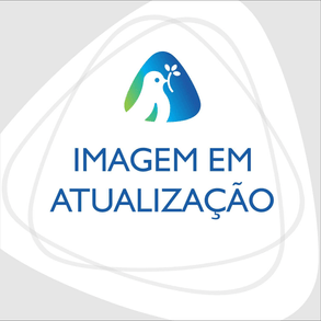 Mascara Capilar Studio Hair Deita Cabelo 500g