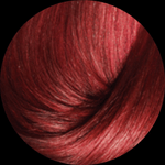 Tint-Haskell-Excllusiv-66.46-Verde-Espuma-Ceramica-60ml