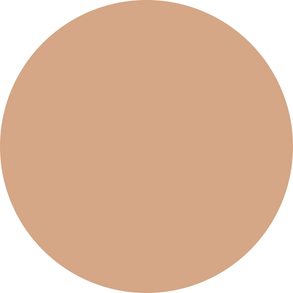 ": "Corretivo Niina Secrets Perfct Match-Cor10