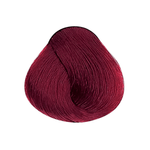 Coloracao-Alfaparf-Evolution-Castanho-Claro-Vermelho-Intenso-5.66i