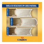 Tint-Cor-Ton-12.111-L-Super-Plat