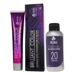 Tint-Brilliant-Color-1.0-Preto