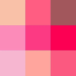Paleta-De-Sombra-Zanphy--01