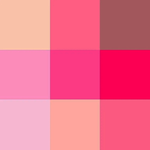 Paleta De Sombras Zanphy - Tons Neutros – Alta Pigmentação