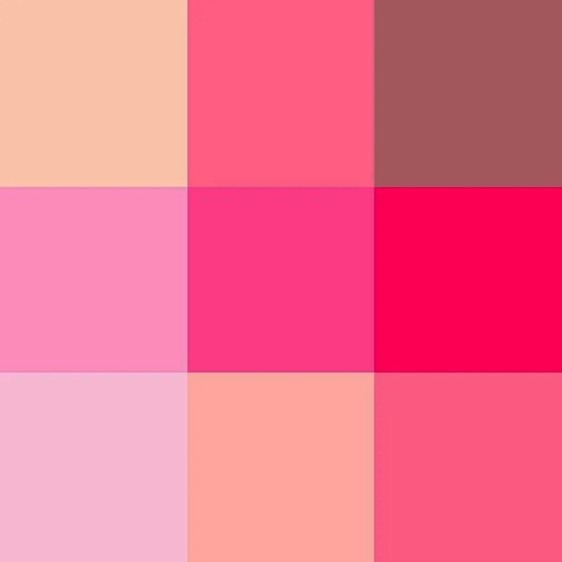 Paleta-De-Sombra-Zanphy--01