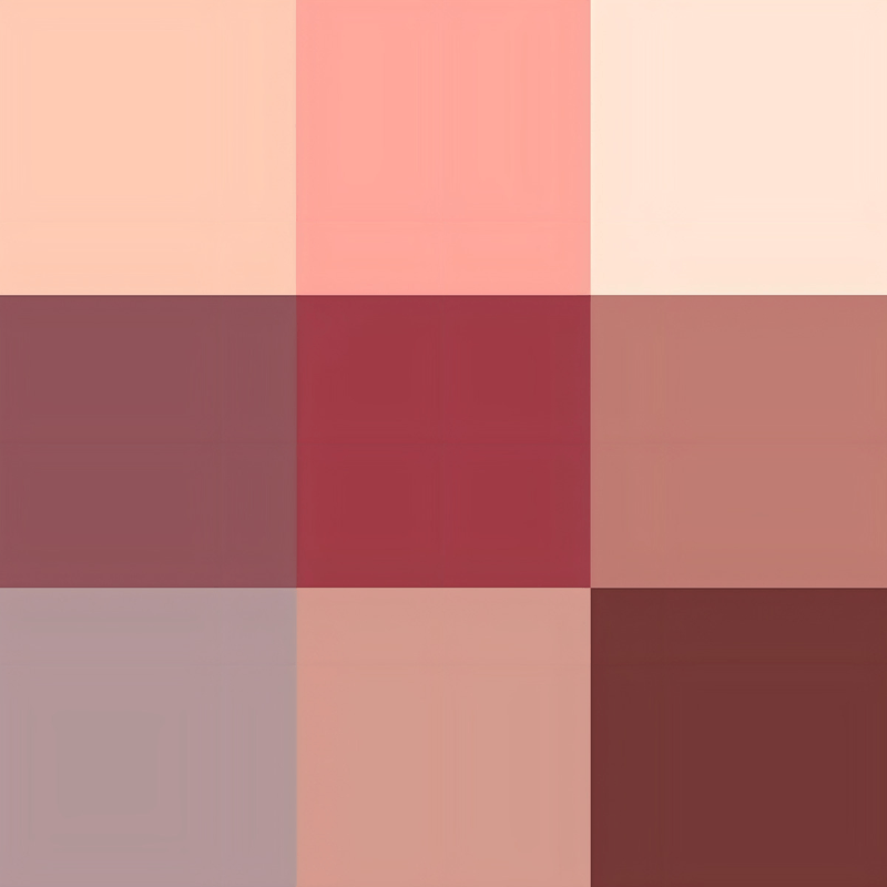 Paleta-De-Sombra-Zanphy-02