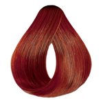 Tint-Haskell-Color-Kit-7.44-L-Med-Cob-In