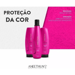 Sh-Aneethun-Color-System-300