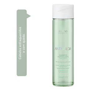 Shampoo Amend Antiqueda 250ml