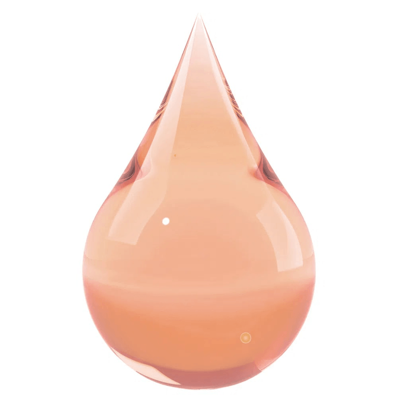 Gloss-Bruna-Tavares-Pitaya