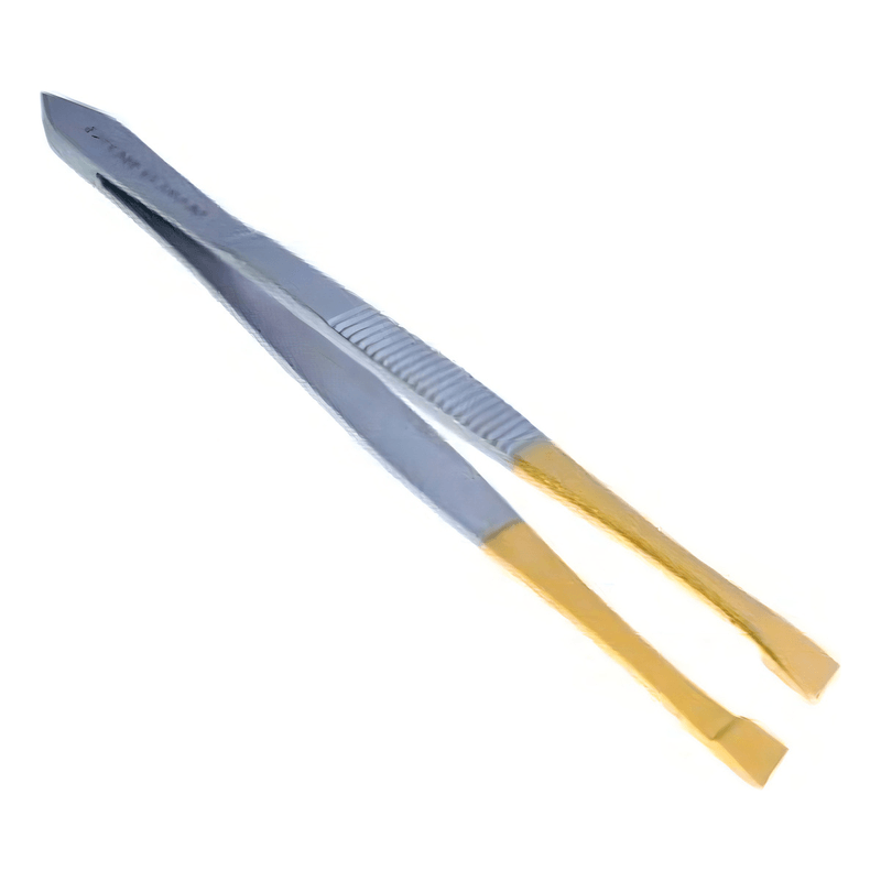 Pinca-Boni-Chanfrada-M